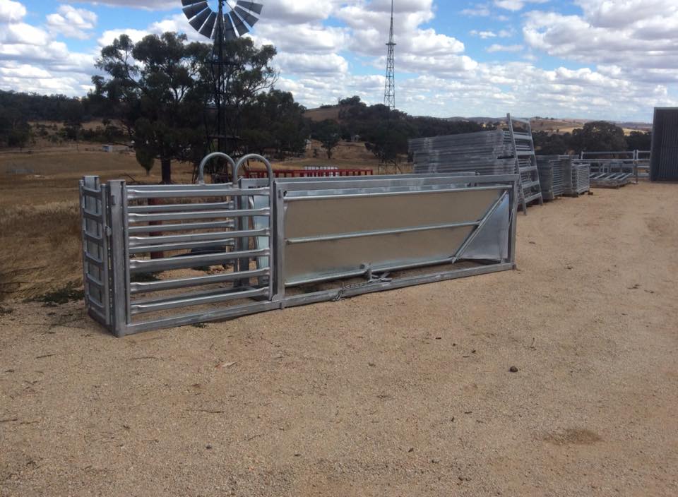 4m Adjustable Sheep Drafting Race