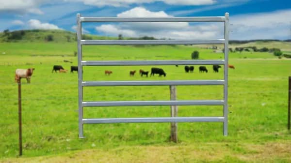 2.1m Heavy Duty Cattle Panel