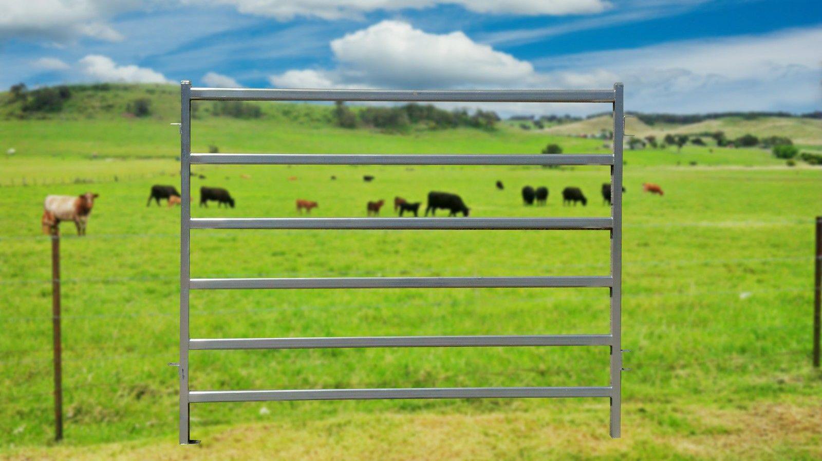 2.1m Cattle Panel